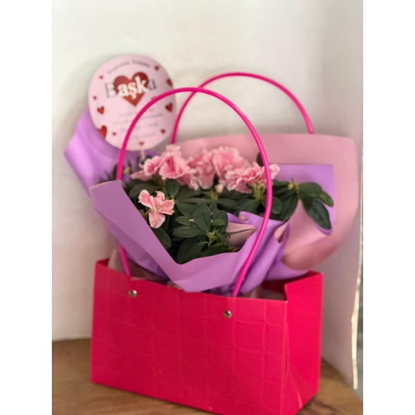 PEMBE ÇANTADA AÇELYA ÇİÇEĞİ